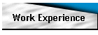 Work Experience