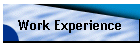 Work Experience